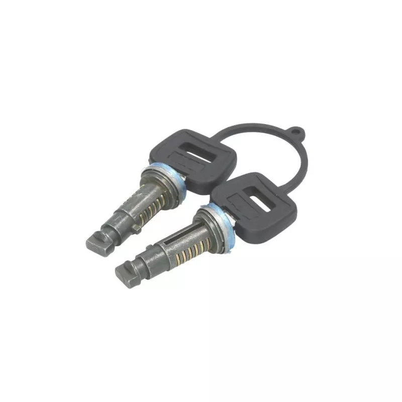 Serrure de porte PACOL DAF-DH-001