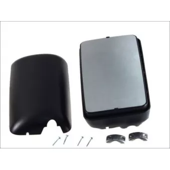 Rétroviseur extérieur PACOL DAF-MR-004