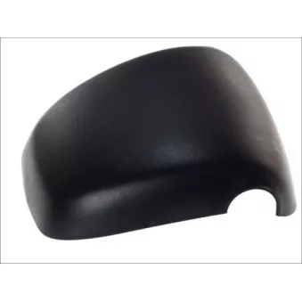 Boitier, rétroviseur extérieur PACOL DAF-MR-013