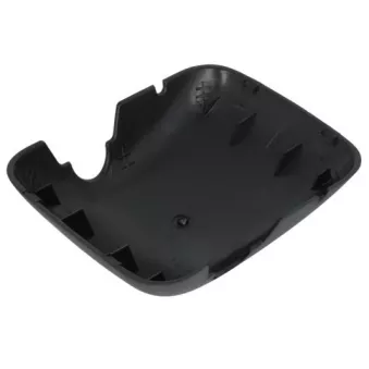 Boitier, rétroviseur extérieur PACOL DAF-MR-014