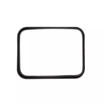 Miroir à grand angle PACOL DAF-MR-018