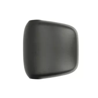 Boitier, rétroviseur extérieur PACOL