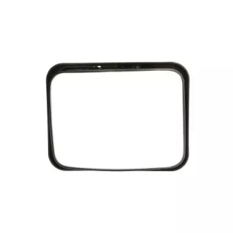 Rétroviseur extérieur PACOL DAF-MR-025