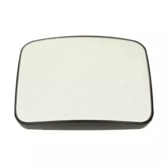 Verre de rétroviseur, rétroviseur extérieur PACOL DAF-MR-027