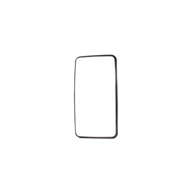 Rétroviseur extérieur PACOL DAF-MR-022