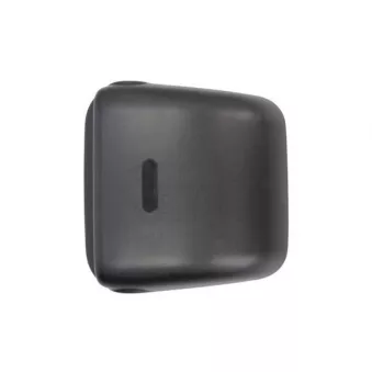 Boitier, rétroviseur extérieur PACOL DAF-MR-029