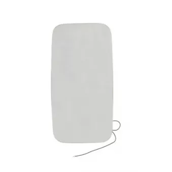 Verre de rétroviseur, rétroviseur extérieur PACOL DAF-MR-030