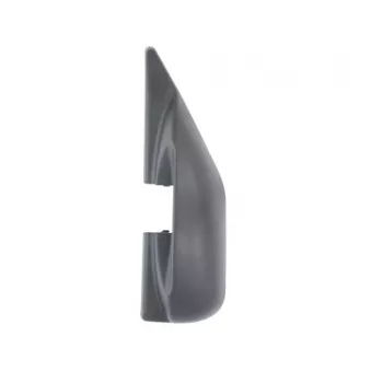 Revêtement, rétroviseur extérieur PACOL DAF-MR-032L