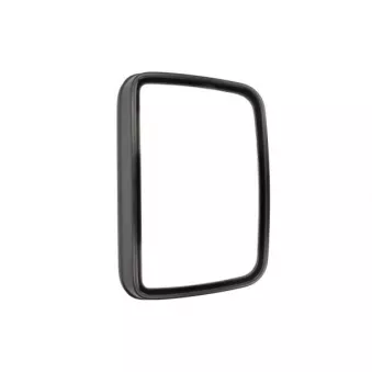 Rétroviseur extérieur PACOL DAF-MR-031