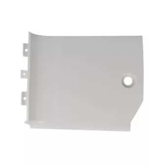 Marchepied PACOL DAF-SP-028R