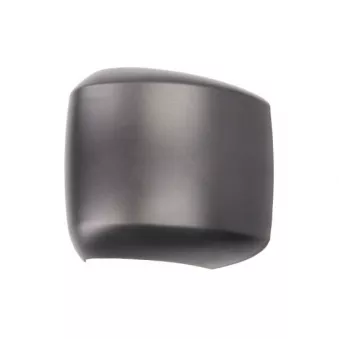 Boitier, rétroviseur extérieur PACOL IVE-MR-022R