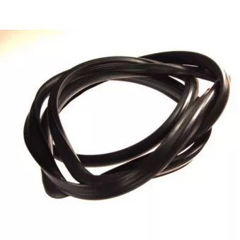 Joint d'étanchéité, pare-brise avant droit  PACOL