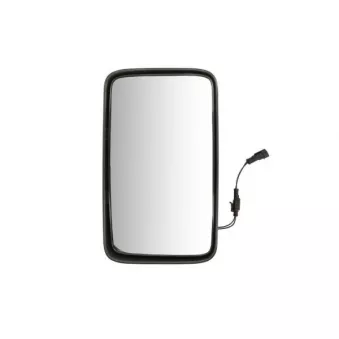 Rétroviseur extérieur PACOL