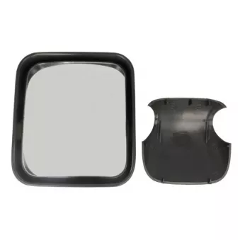 Rétroviseur extérieur PACOL IVE-MR-019
