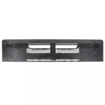 Grille de radiateur PACOL