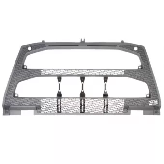 Grille de radiateur PACOL