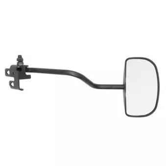 Rétroviseur extérieur PACOL VOL-MR-031