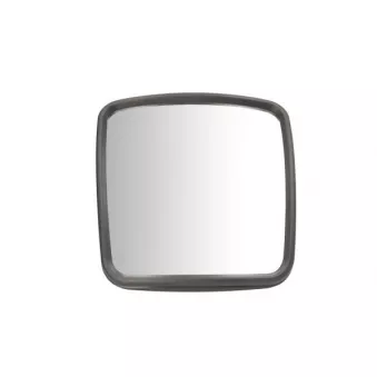 Rétroviseur extérieur PACOL VOL-MR-047