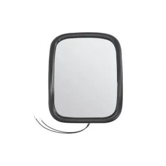 Verre à miroir, grand rétroviseur PACOL MAN-MR-031