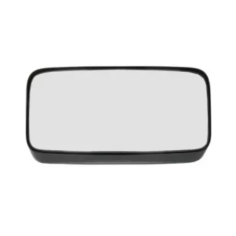 Rétroviseur extérieur PACOL