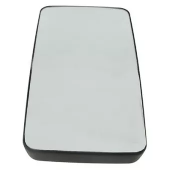 Rétroviseur extérieur PACOL MAN-MR-034