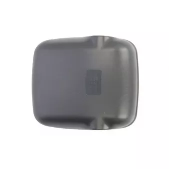 Boitier, rétroviseur extérieur PACOL MAN-MR-043R