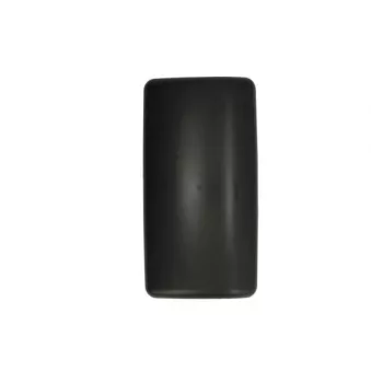 Boitier, rétroviseur extérieur PACOL MAN-MR-044