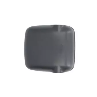 Boitier, rétroviseur extérieur PACOL MAN-MR-043L