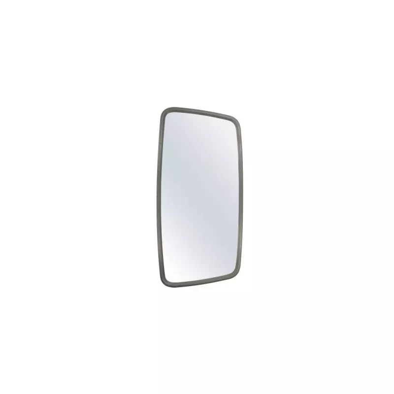 Rétroviseur extérieur PACOL MAN-MR-048L