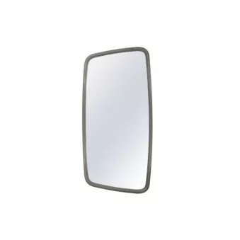 Rétroviseur extérieur PACOL MAN-MR-048R