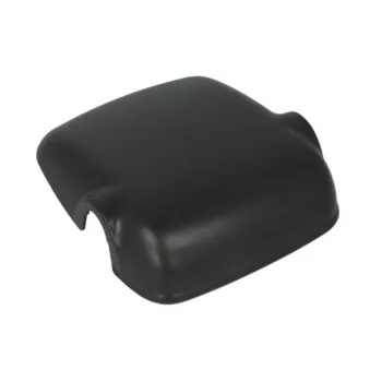 Boitier, rétroviseur extérieur PACOL