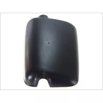 Boitier, rétroviseur extérieur PACOL MAN-MR-016