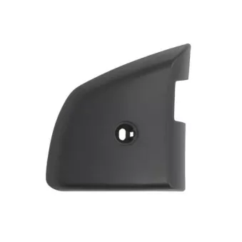 Boitier, rétroviseur extérieur PACOL MAN-MR-050L