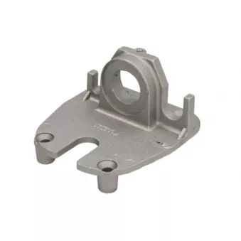 Revêtement, rétroviseur extérieur PACOL MAN-MR-056