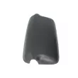 Revêtement, rétroviseur extérieur PACOL MAN-MR-024L - Visuel 1