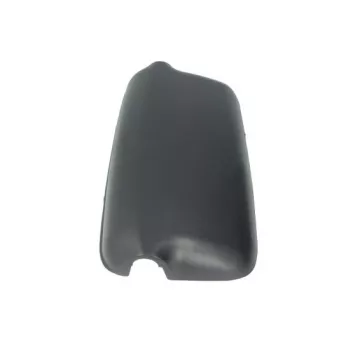 Revêtement, rétroviseur extérieur PACOL MAN-MR-024L