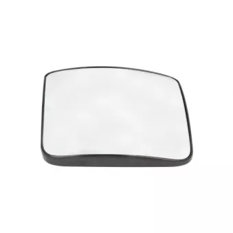 Verre de rétroviseur, rétroviseur extérieur PACOL MAN-MR-027R