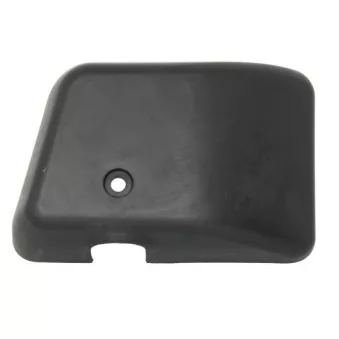 Revêtement, rétroviseur extérieur PACOL MAN-MR-022L