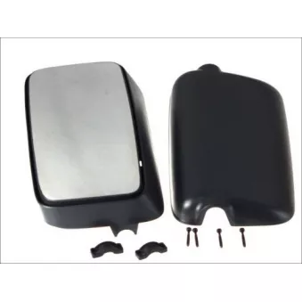 Rétroviseur extérieur PACOL MAN-MR-014