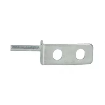 Support, grille de radiateur PACOL MAN-FP-024