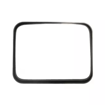 Rétroviseur extérieur PACOL MAN-MR-008