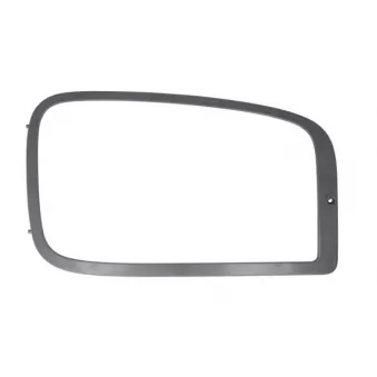 Cadre, projecteur principal PACOL MER-HLS-009R