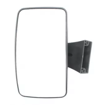 Miroir de rampe PACOL MER-MR-010