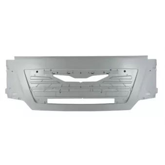 Grille de radiateur PACOL