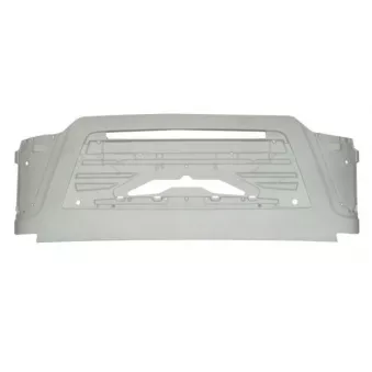 Grille de radiateur PACOL