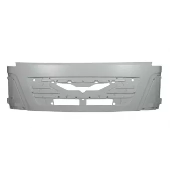 Grille de radiateur PACOL