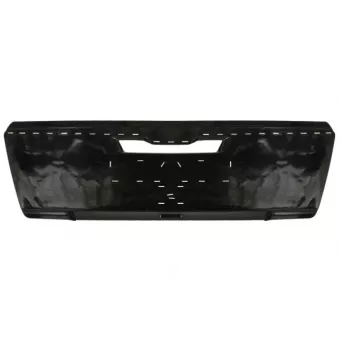 Grille de radiateur PACOL