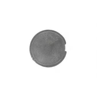 Enjoliveur, pare-chocs PACOL MAN-FB-020