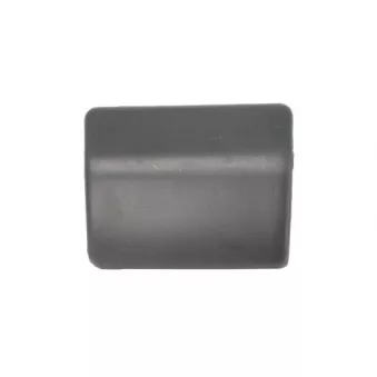 Enjoliveur, pare-chocs PACOL MAN-FB-019L