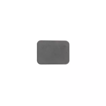 Enjoliveur, pare-chocs PACOL MAN-FB-064